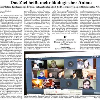 BNN GRÜNE BMR stellt vor - 21-02-19